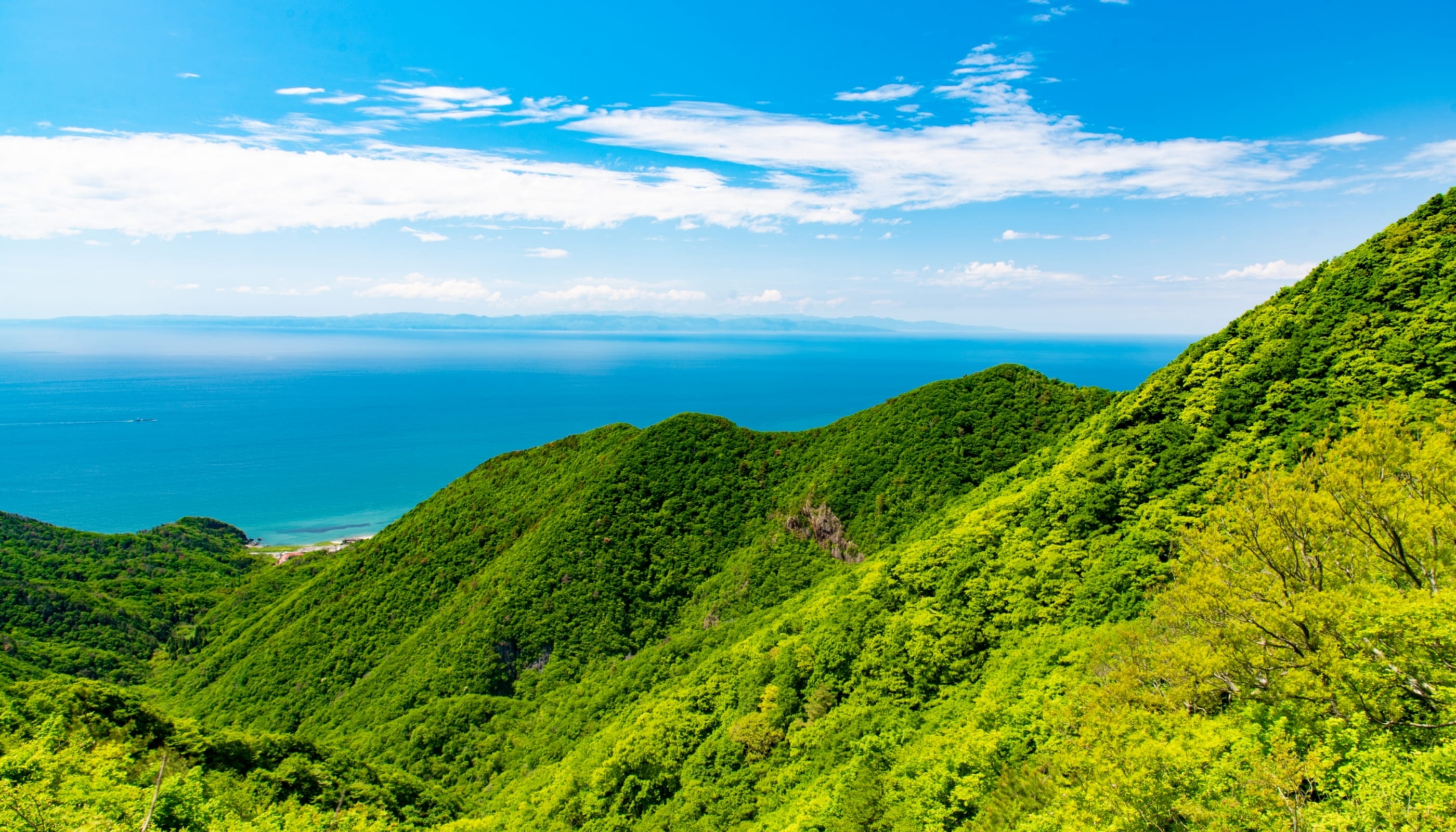 新潟県弥彦村 弥彦山