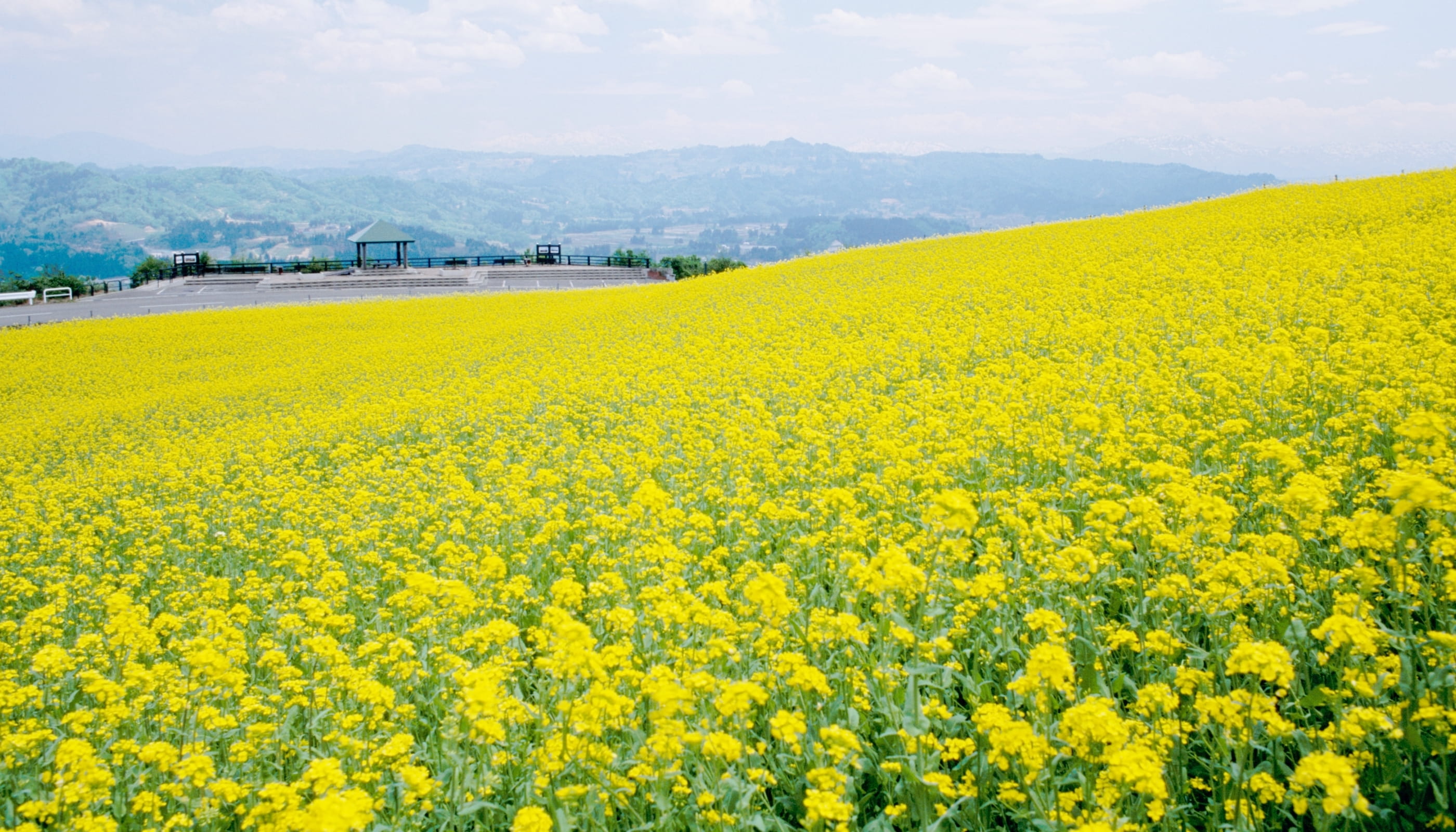 新潟県小千谷市 山本山