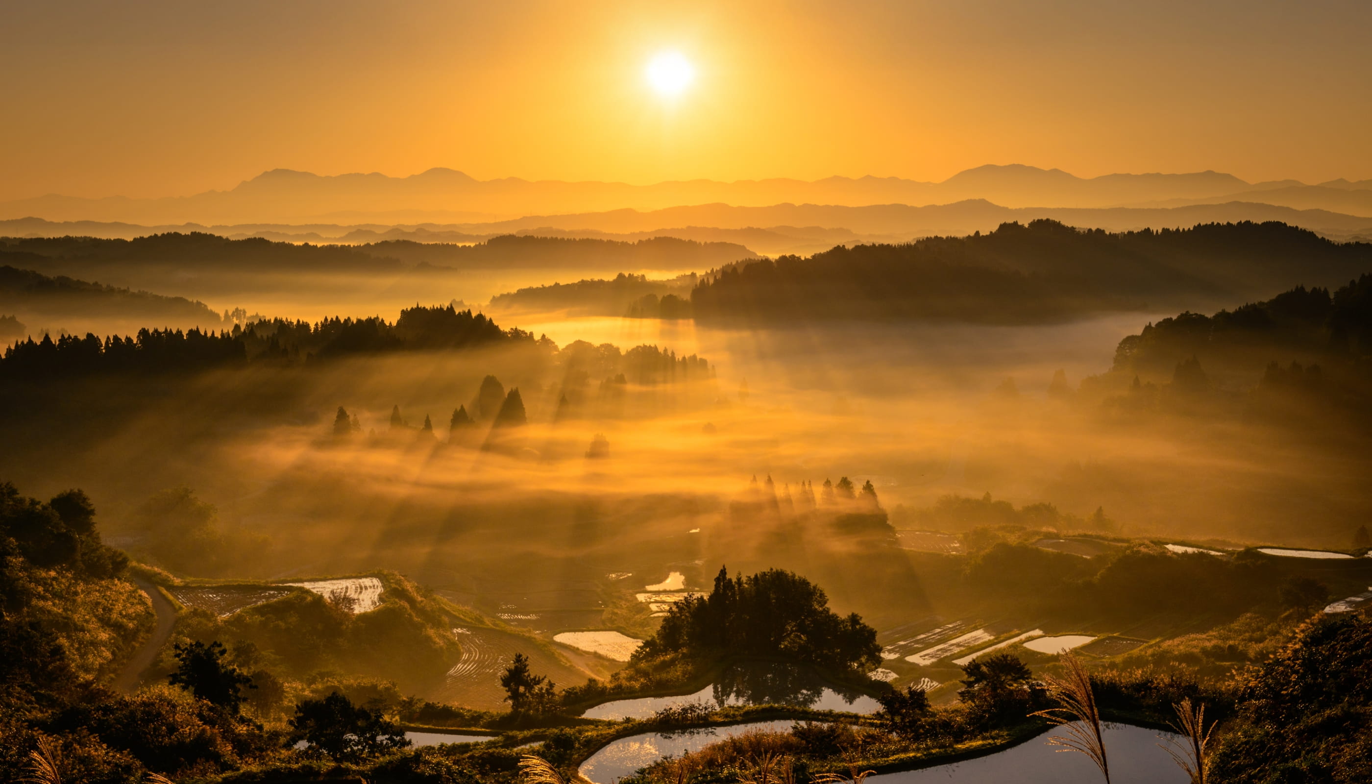新潟県十日町市  星峠