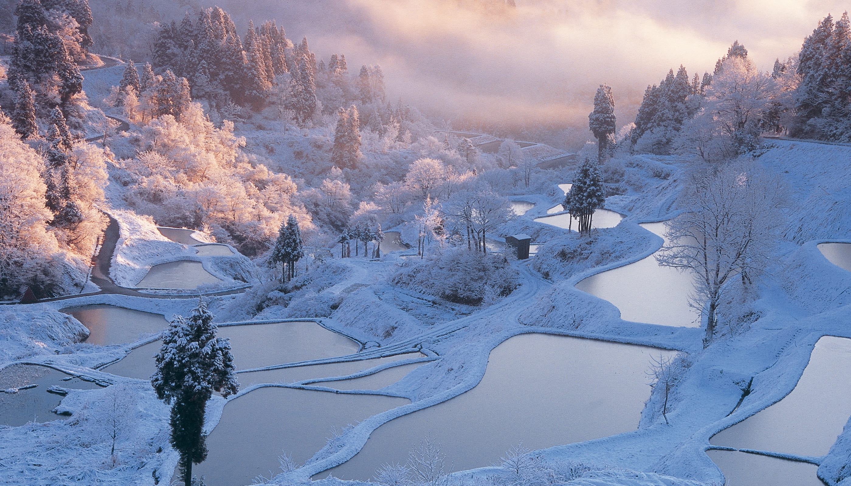 新潟県十日町市 棚田風景